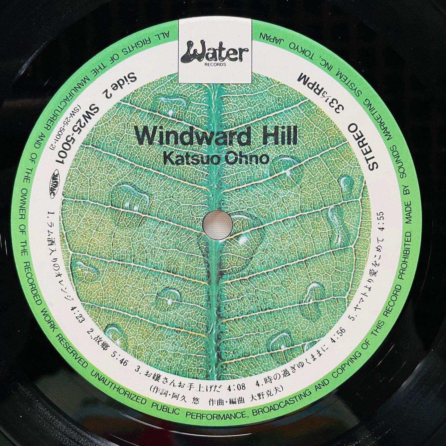 Katsuo Ohno - Windward Hill (Original)