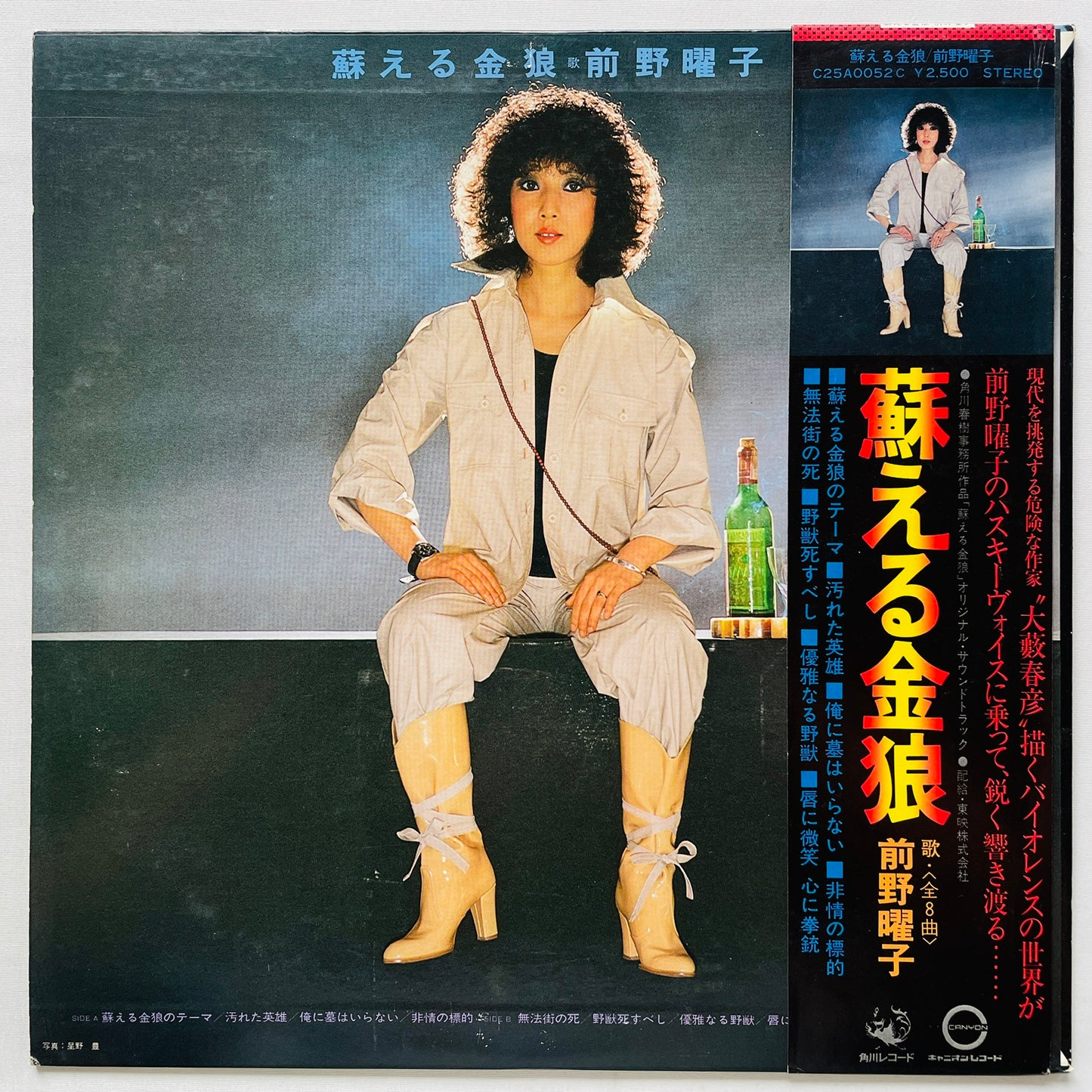 Yoko Maeno - Yomigaeru Kinrou (Original)