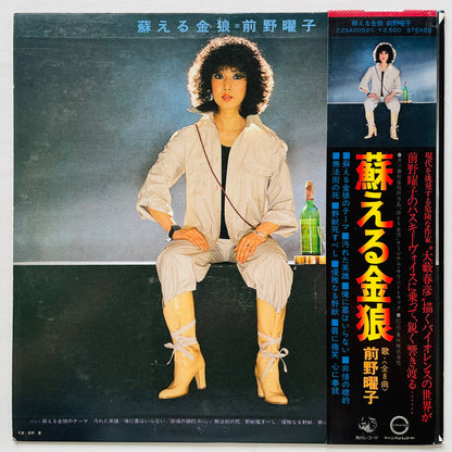 Yoko Maeno - Yomigaeru Kinrou (Original)