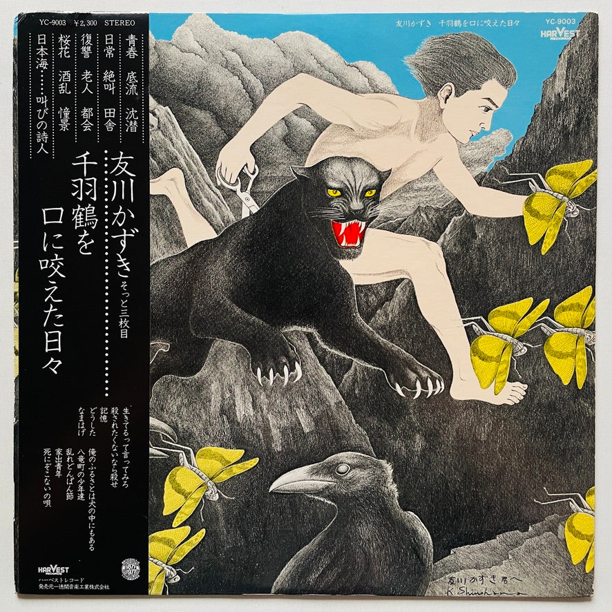 Japanese Rock / Pops