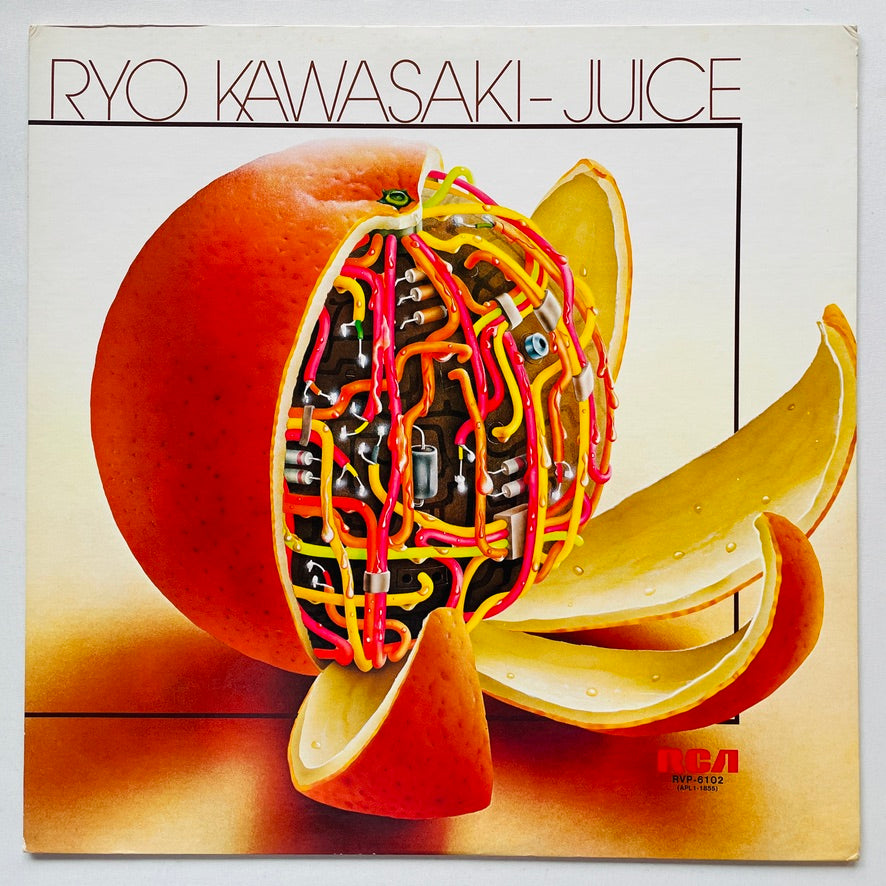 Ryo Kawasaki - Juice (Original)