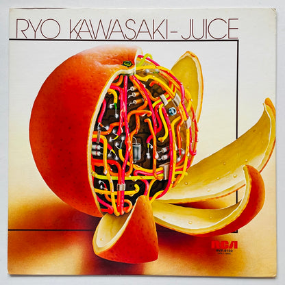 Ryo Kawasaki - Juice (Original)
