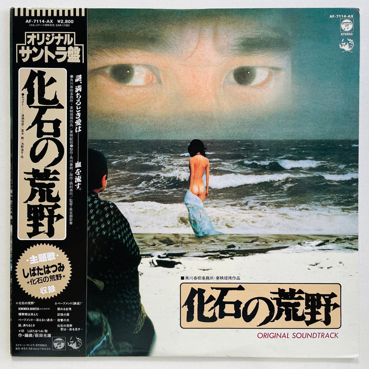 Mitsuo Hagita - Kaseki no Kouya (Original, Promo)