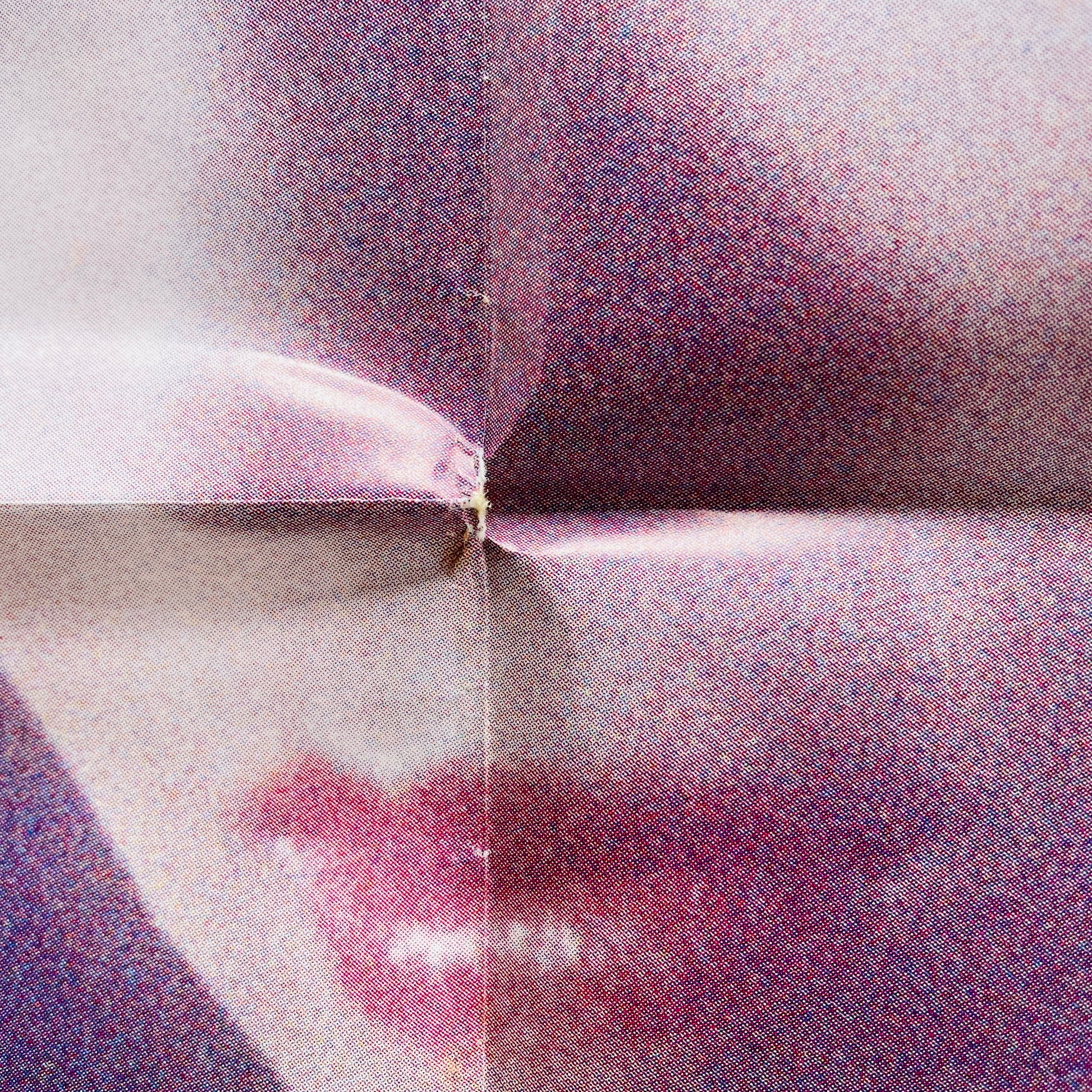 Mayumi Horikawa - ELM Dori no Syoujo (Original, w/Poster) - Portal Records