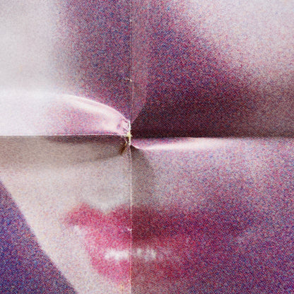 Mayumi Horikawa - ELM Dori no Syoujo (Original, w/Poster) - Portal Records