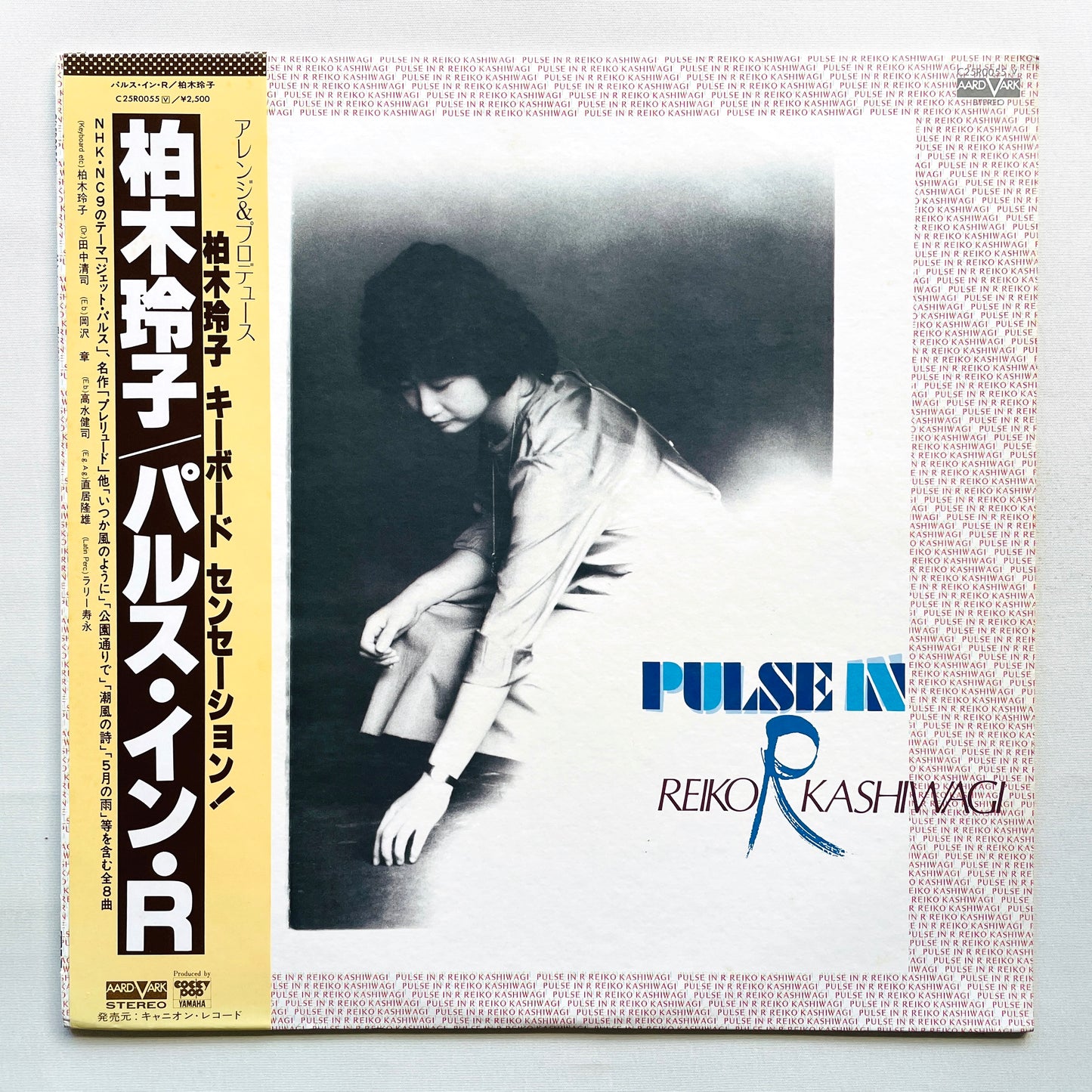 Reiko Kashiwagi – Pulse In R (Original)