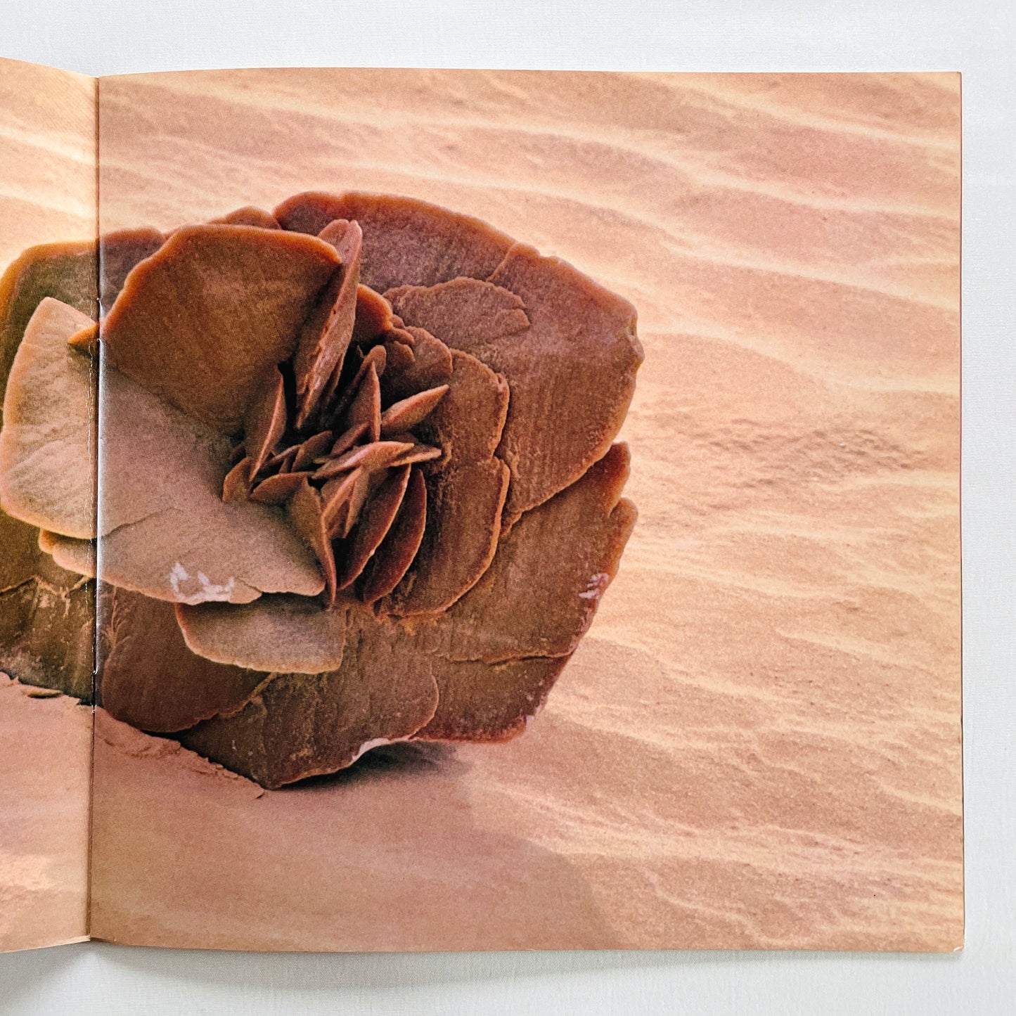 Hiroki Inui & Tao - The Illusion Of Sand Hills (Original, w/Photo Book)