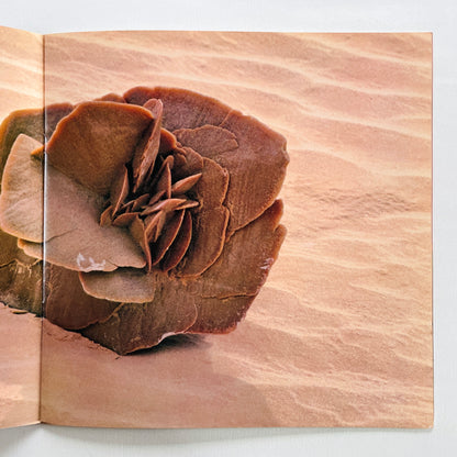 Hiroki Inui & Tao - The Illusion Of Sand Hills (Original, w/Photo Book)