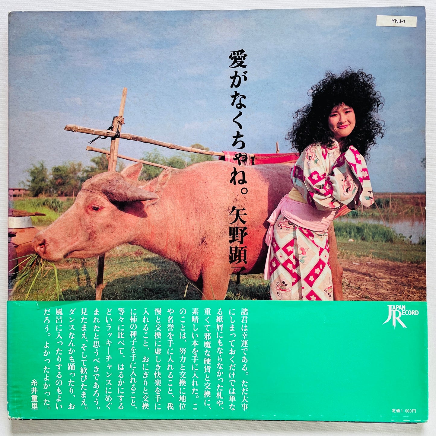 Akiko Yano - Ai ga Nakuchane (Original)