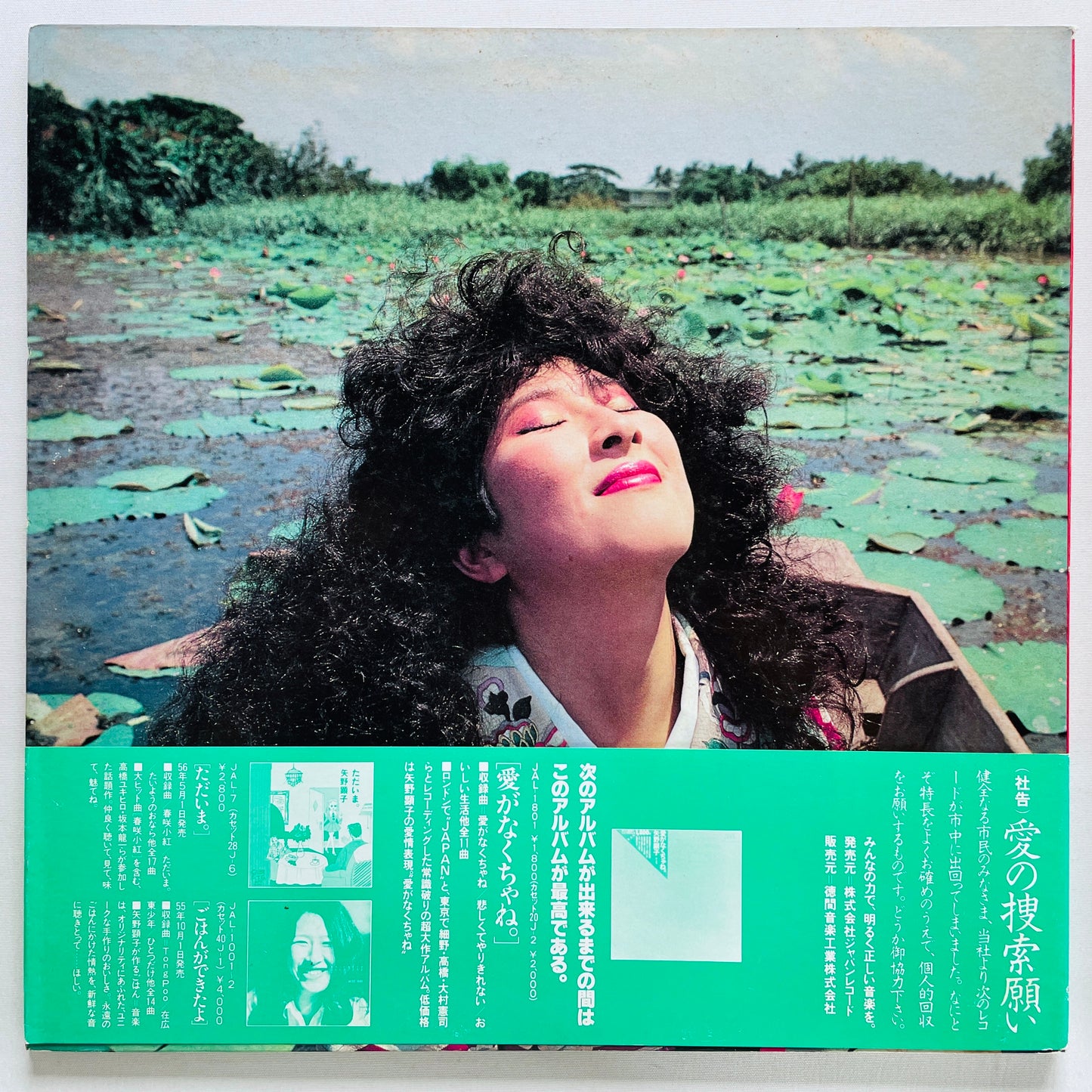 Akiko Yano - Ai ga Nakuchane (Original)