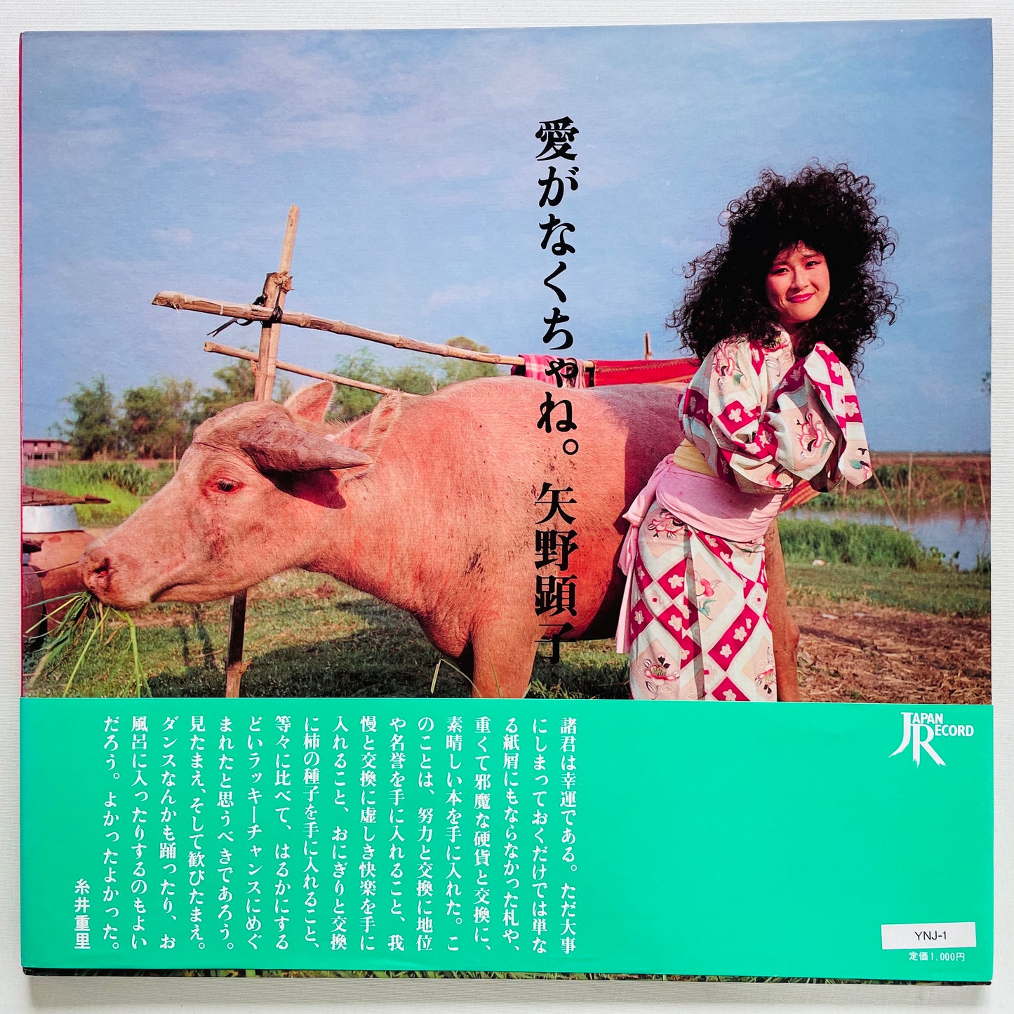 Akiko Yano - Ai ga Nakuchane (Original)
