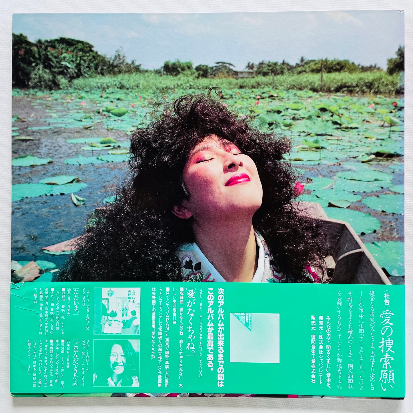 Akiko Yano - Ai ga Nakuchane (Original)