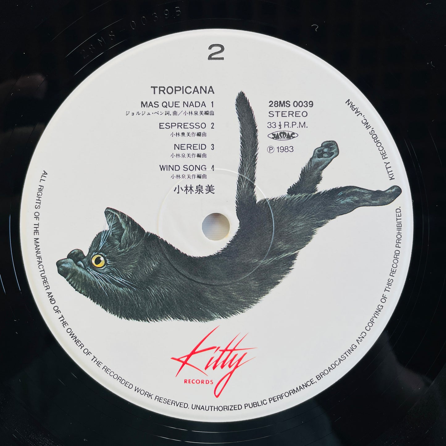 Izumi Kobayashi – Tropicana (Original)