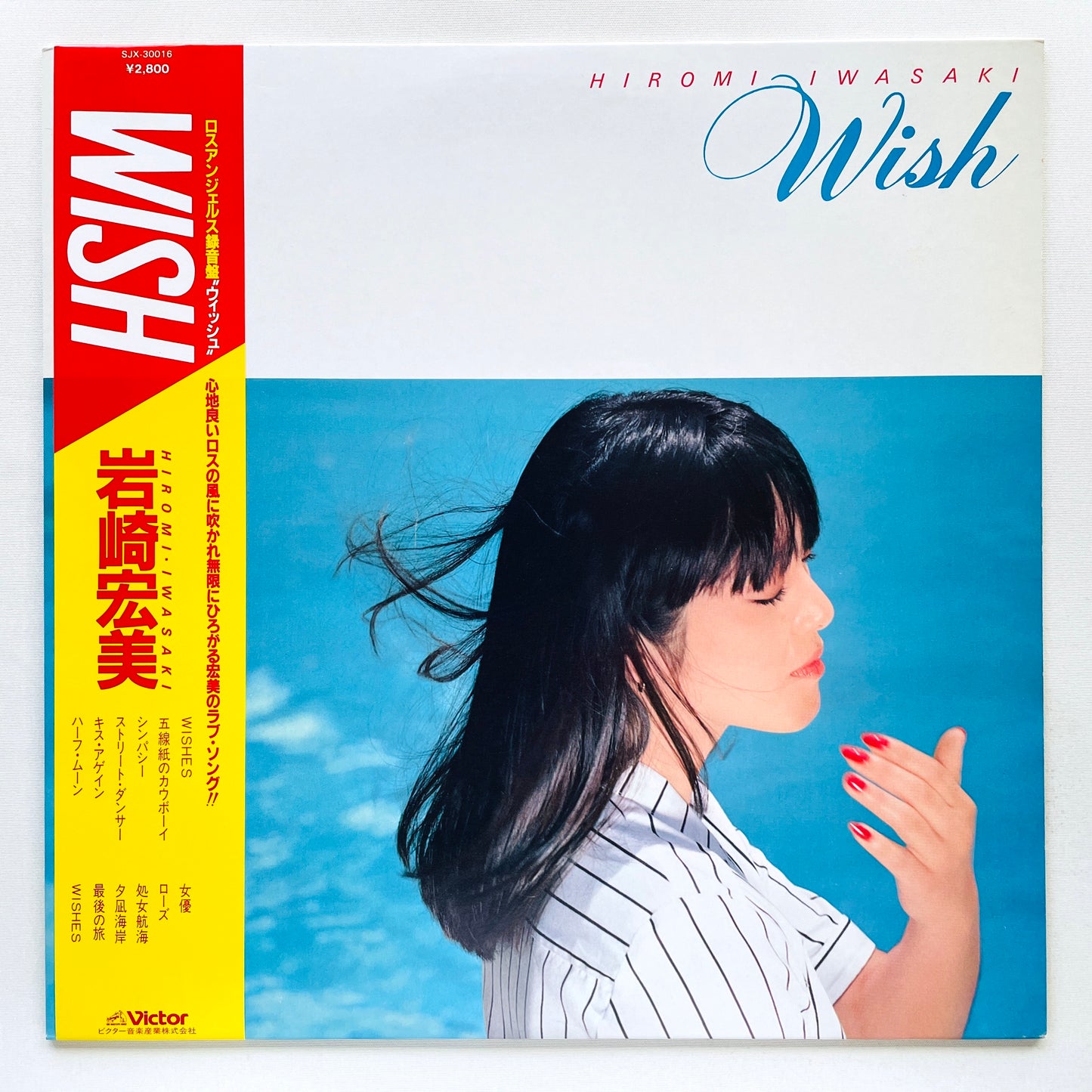 Hiromi Iwasaki - Wish (Original)