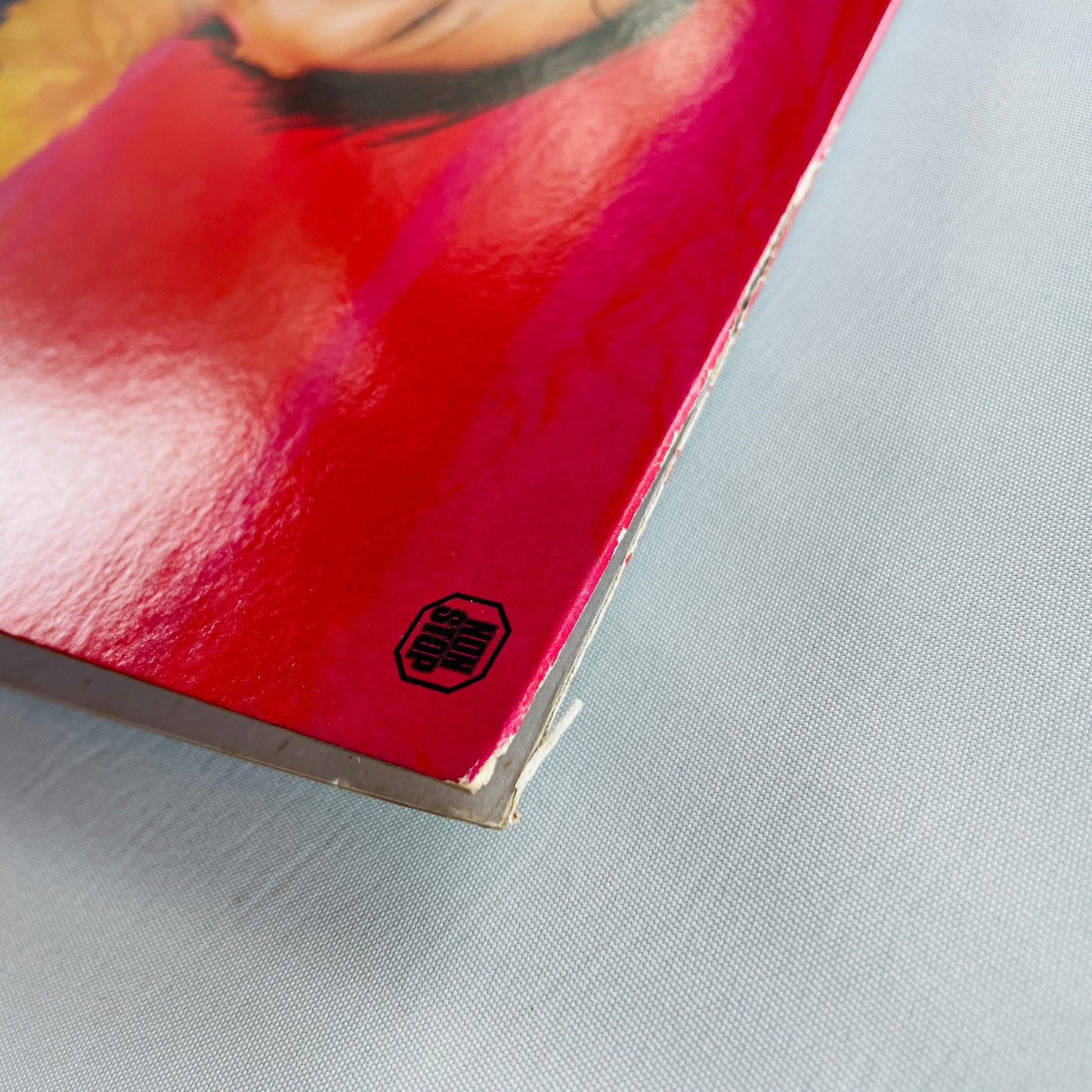 Ruriko Ohgami – Typhoon Lady (Original)