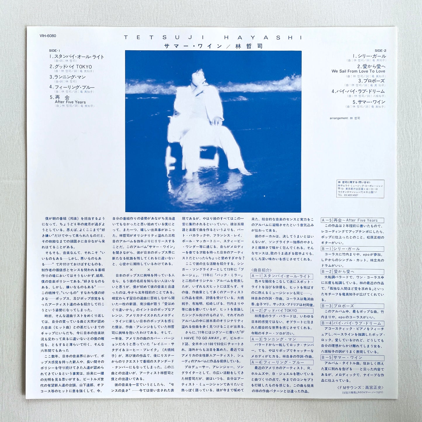 Tetsuji Hayashi - Summer Wine (2nd Pressing)