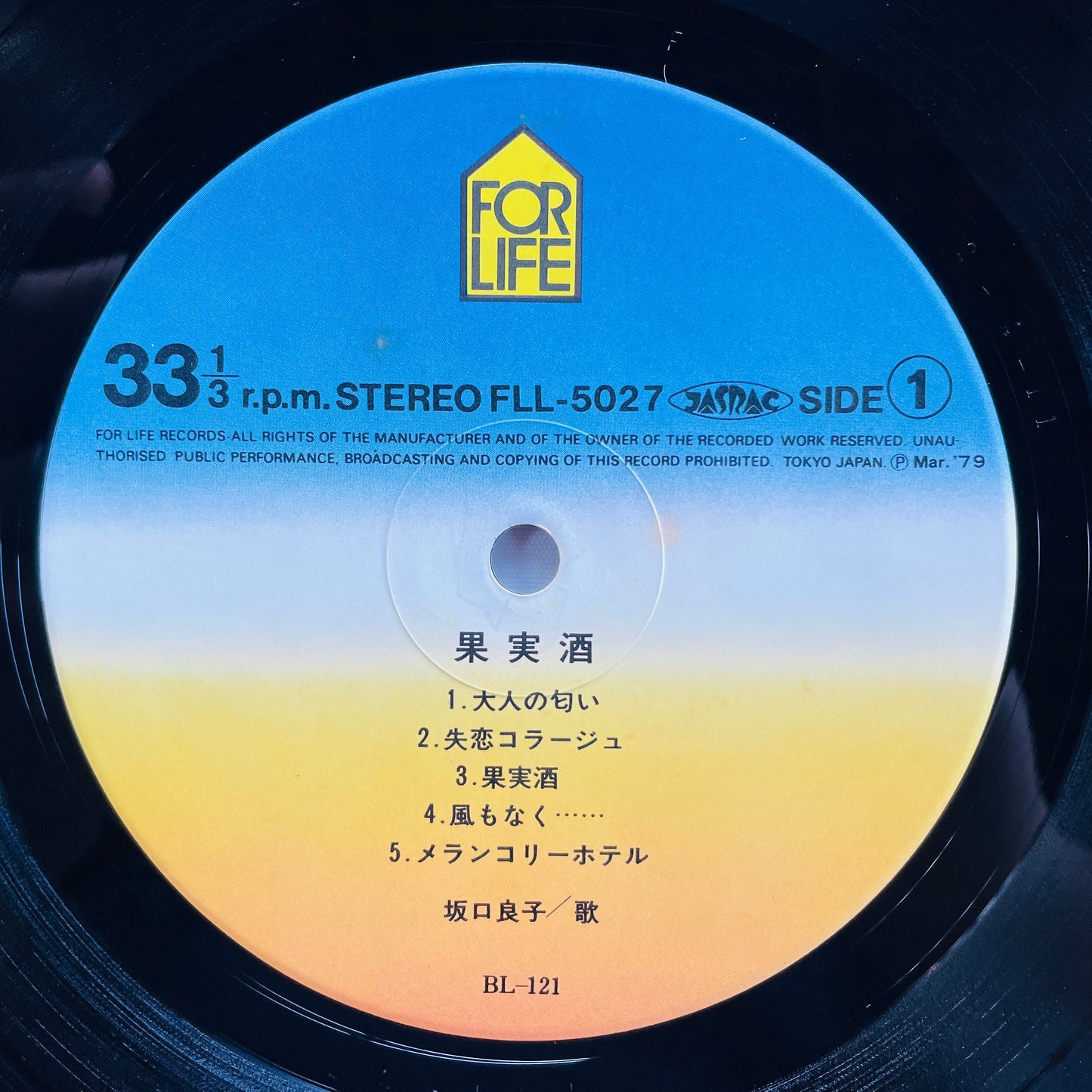 Ryoko Sakaguchi - Kajitsushu (Original)