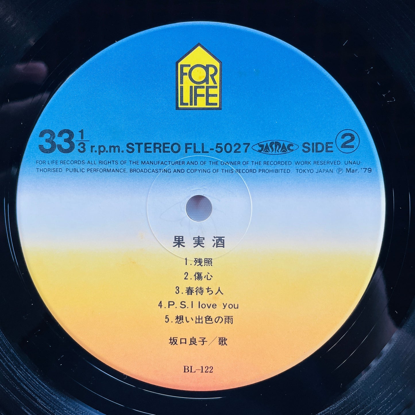 Ryoko Sakaguchi - Kajitsushu (Original)