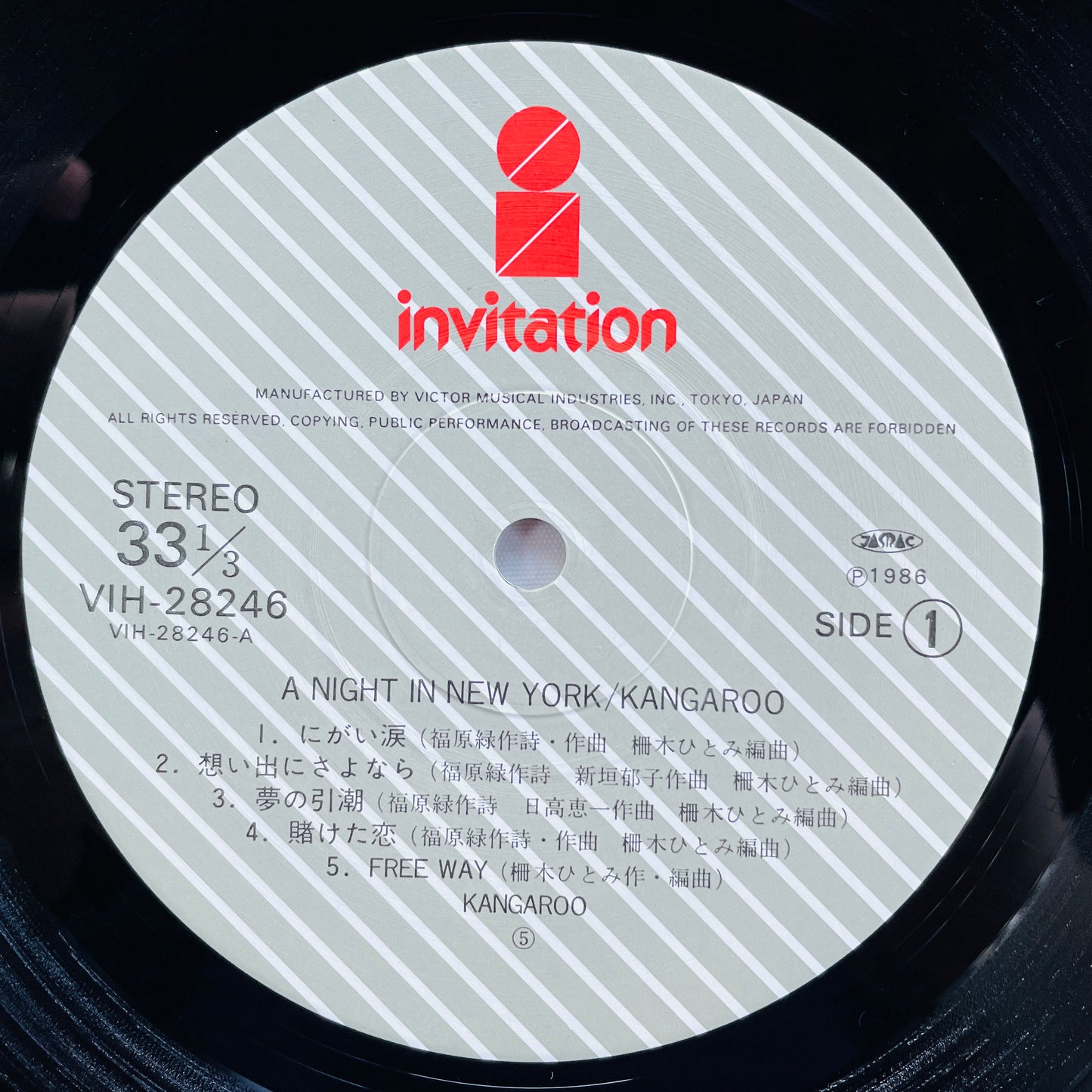 Kangaroo – A Night In New York (Original)