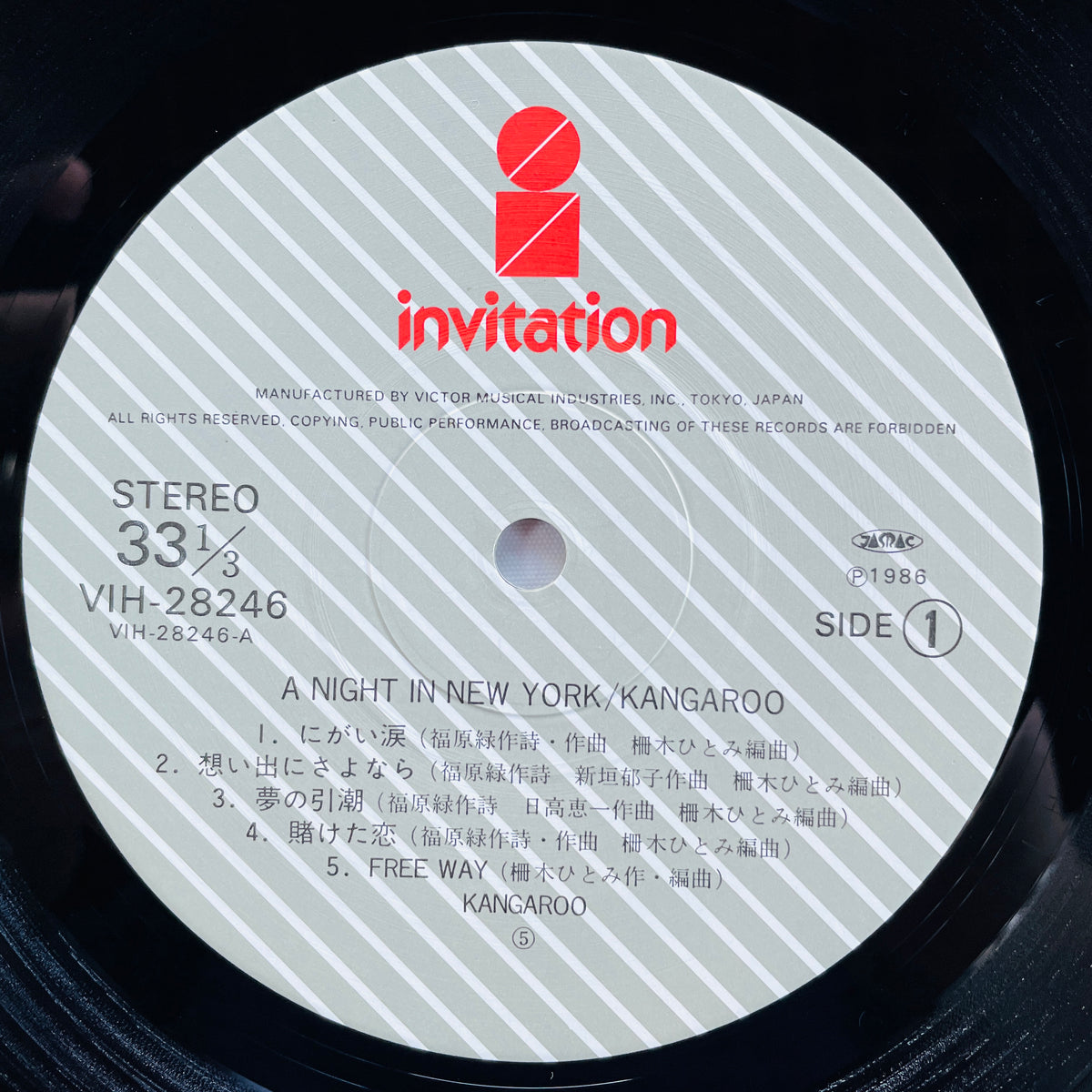 Kangaroo – A Night In New York (Original)