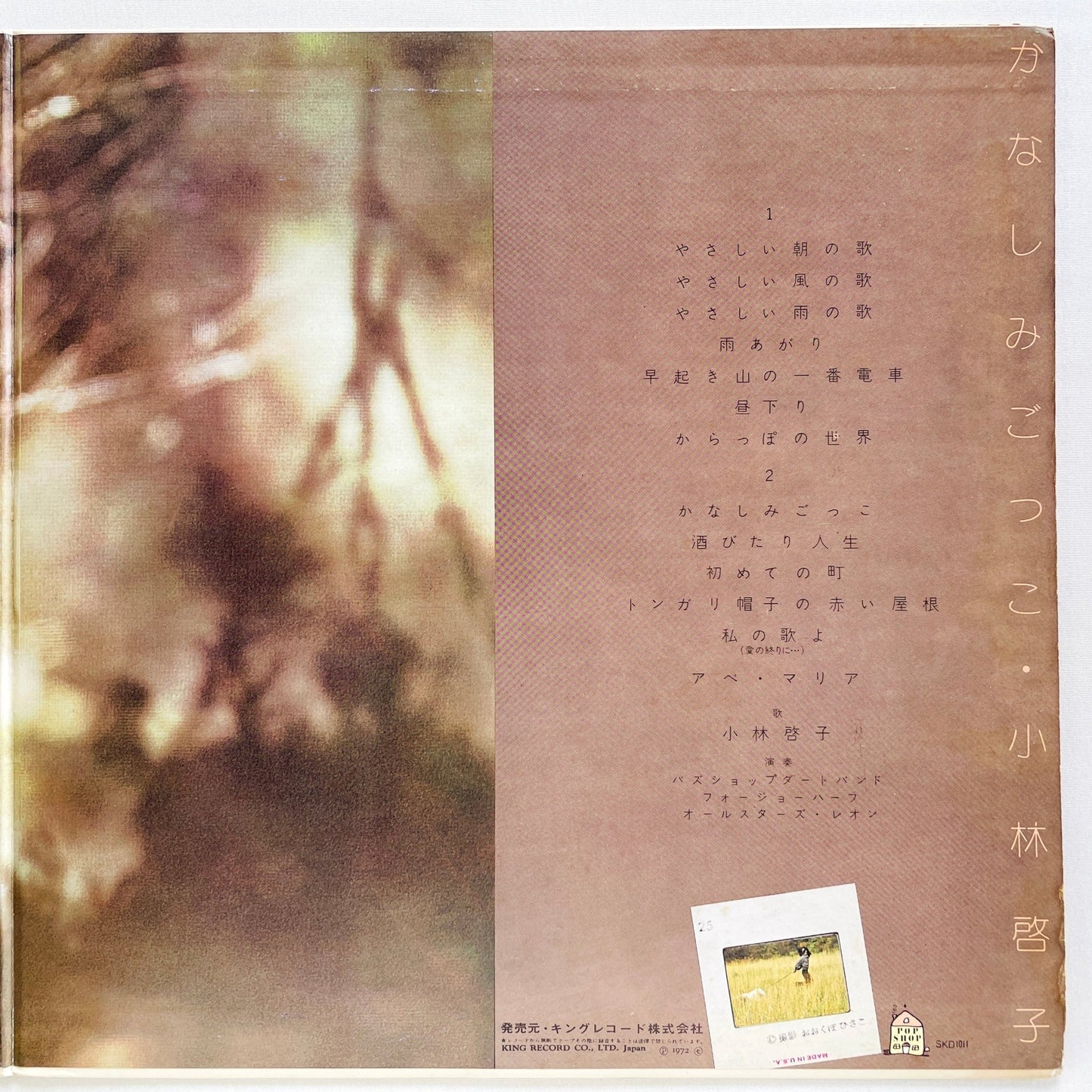 Keiko Kobayashi - Kanashimi Gokko (Original) - Portal Records