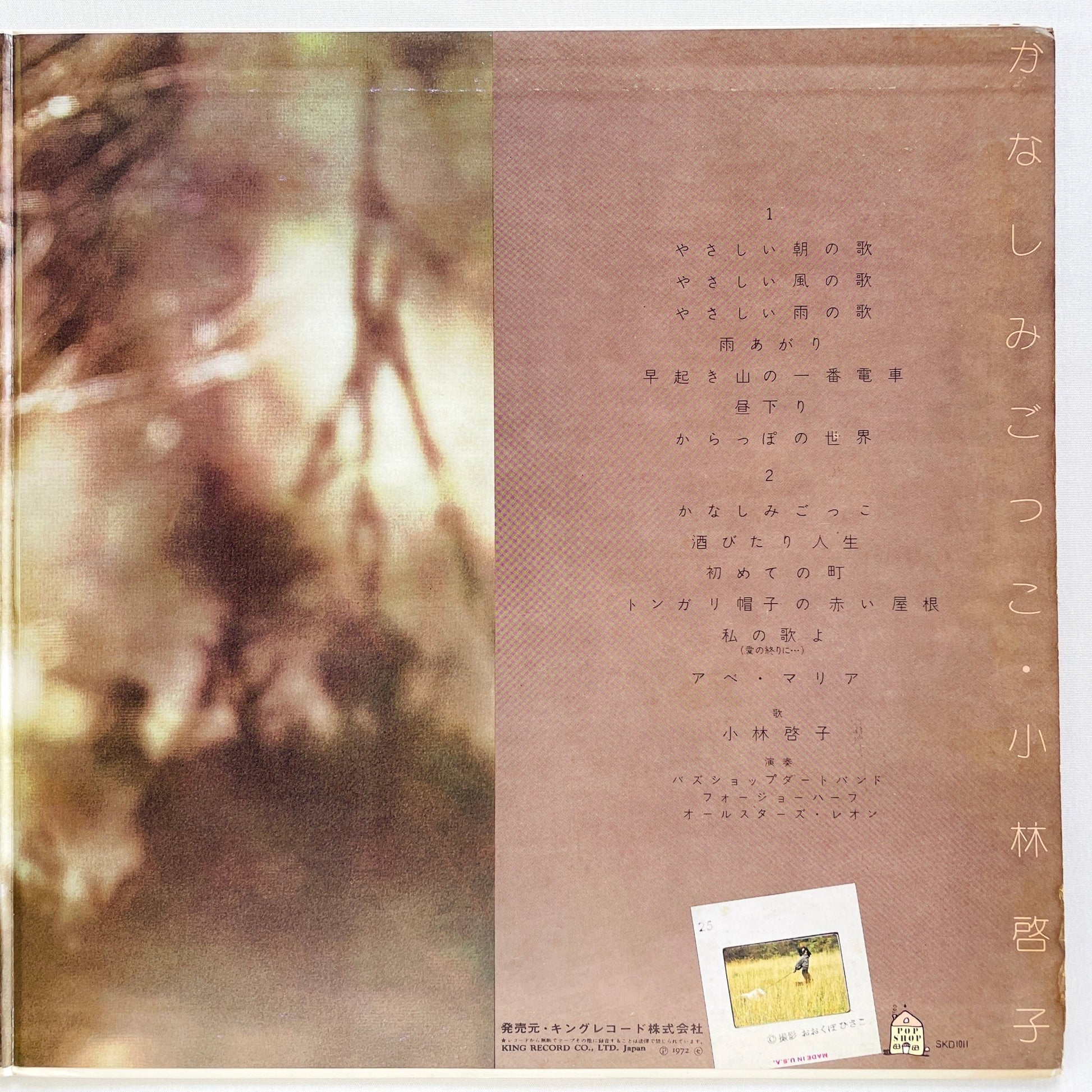 Keiko Kobayashi - Kanashimi Gokko (Original) - Portal Records