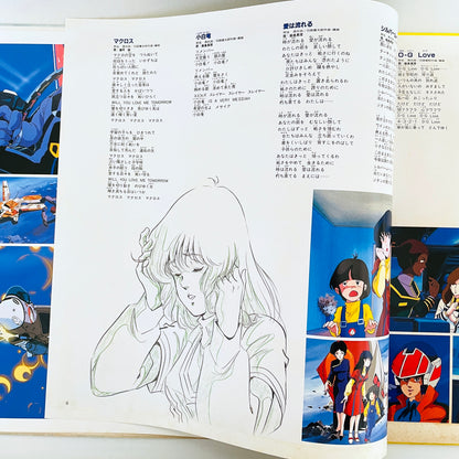 Kentaro Haneda - S.D.F. Macross